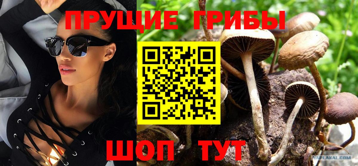 Сыктывкар  Псилоцибиновые грибы GOLDEN TEACHER  Вход с VPN 